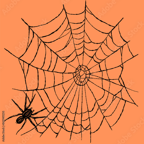 Vector design with cobweb and spider hiding underneath