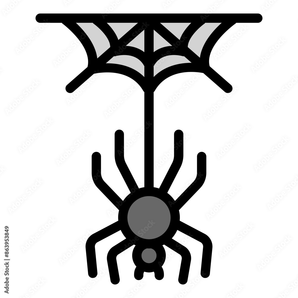spider spider
