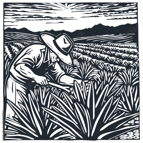 a Mexican peasant working on an agave plantation, vector illustration	