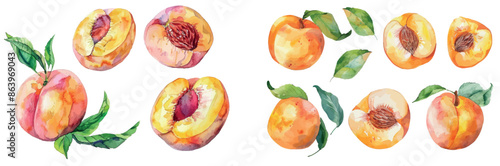 Isolated watercolor of a peach fruit on white