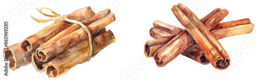 The dried cinnamon sticks bunch is a watercolor illustration. It is a natural and raw organic spice from bark of a tree. It is used in medicine, cooking, and aromatherapy.