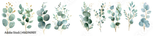 Illustration set with watercolors of eucalyptus, olive, green leaves, etc. Also suitable for wedding stationary, greetings, wallpaper, fashion, background.