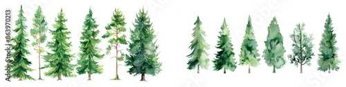 The watercolor artwork depicts green pine trees against a white background. The silhouettes of fir trees and splashes behind them make up the watercolor background.