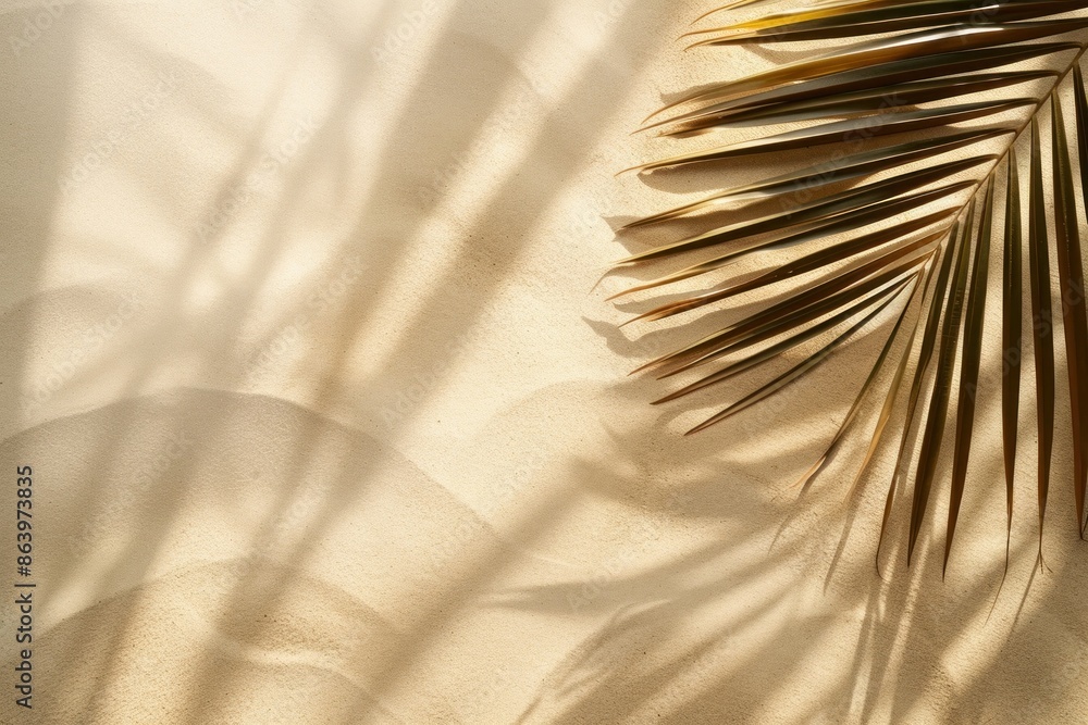 Obraz premium Palm Leaf Shadow on Sandy Beach Background