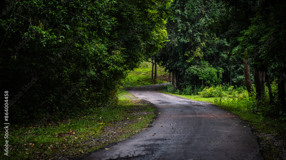 A road that leads into the forest at Khao Yai National Park, a World Heritage Forest, Thailand. A road that leads into the forest at Khao Yai National Park, a World Heritage Forest, Thailand.