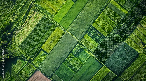 cultivated agriculture fields from above birds eye in summer. drone aerial view