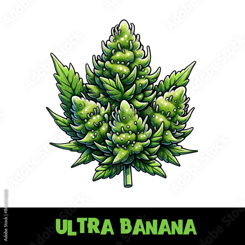 Vector Illustrated Ultra Banana Cannabis Bud Strain Cartoon