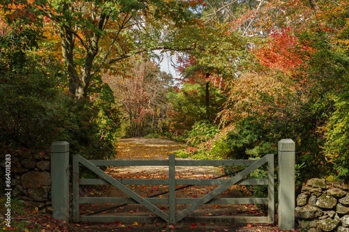 Photography Rustic wooden gate and stone fence surrounded by vibrant autumn foliage at Nooro