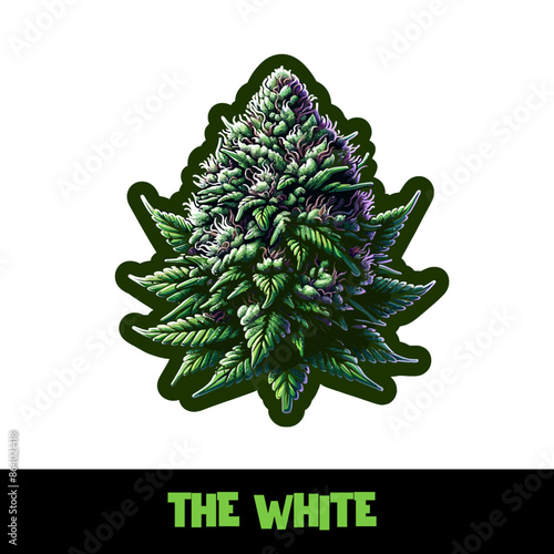 Vector Illustrated The White Cannabis Bud Strain Cartoon