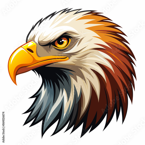 Eagle head vector illustration  