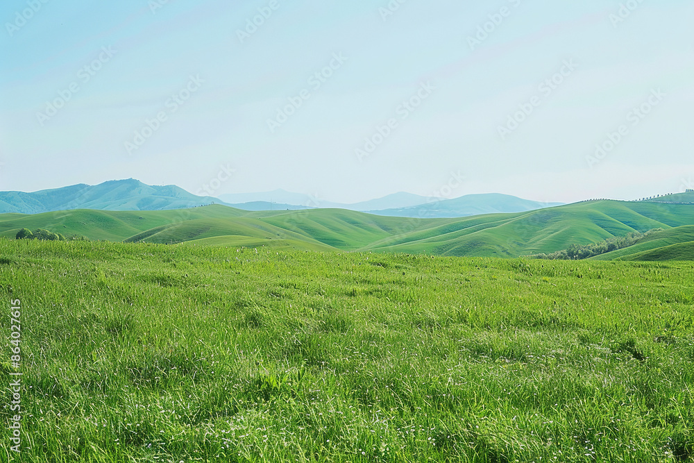 Tranquil Hills of Green Grass with Distant Mountain Views Tranquil Hills of Green Grass with Distant Mountain Views