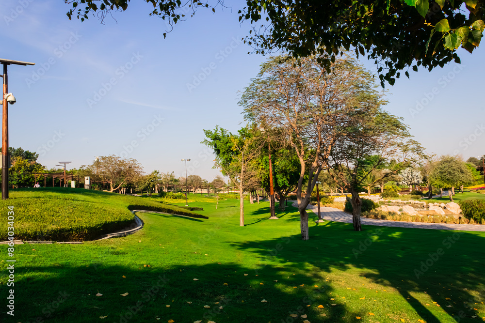 Obraz premium view of the city park during daytime, trees and grass view