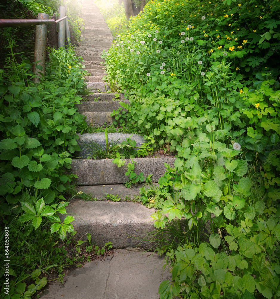 Old stairs in the forest Old stairs in the forest