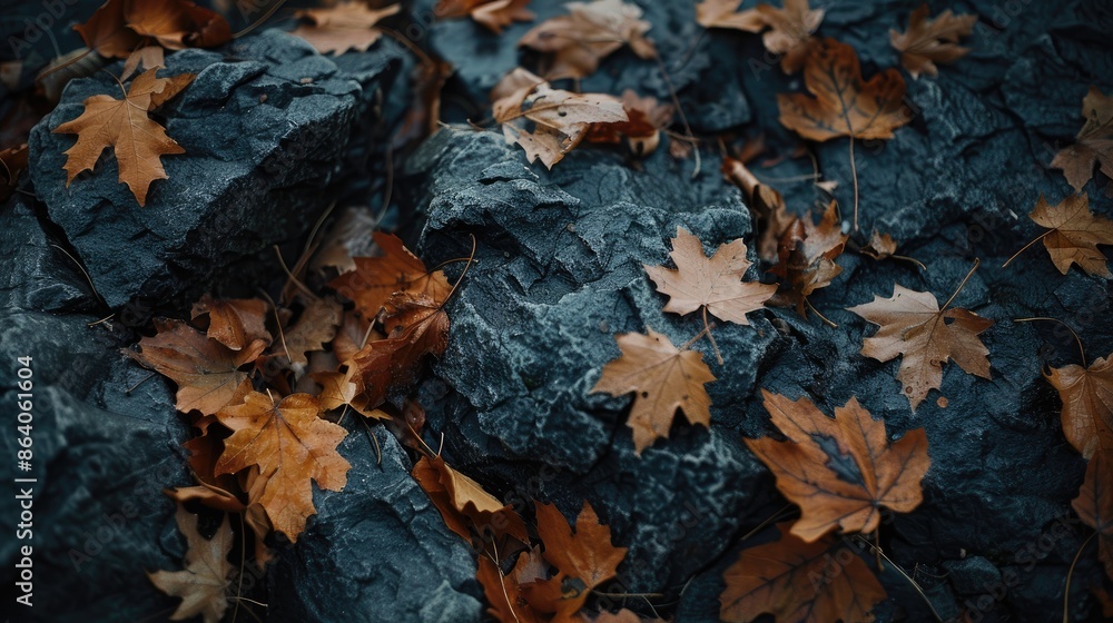 Dry leaves ripped in rocky locations Dry leaves ripped in rocky locations