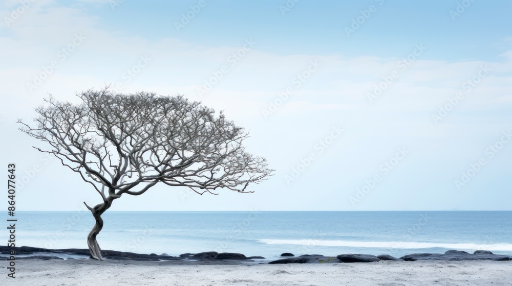 Lonely tree on the beach, minimal style Lonely tree on the beach, minimal style