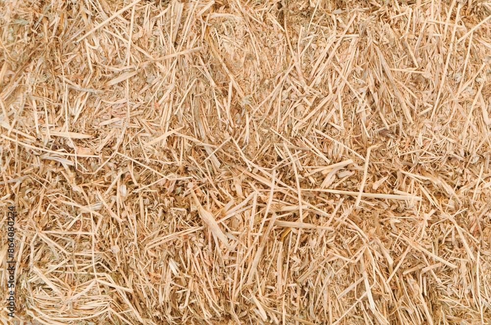 Background of textured dry yellow straw hay. Background of textured dry yellow straw hay.