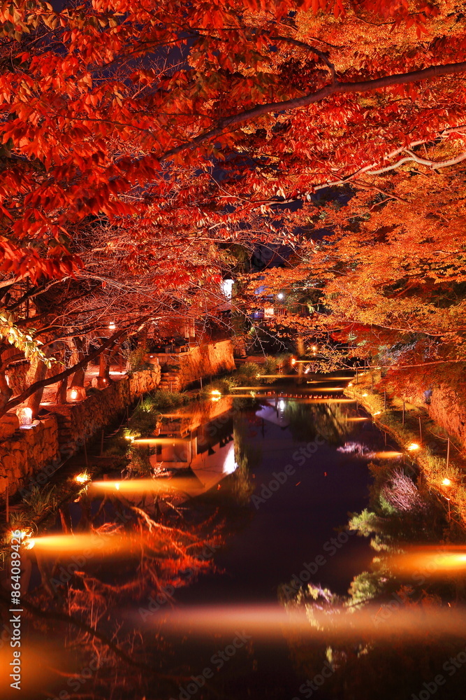 Φωτογραφία ライトアップされた滋賀県近江八幡 八幡堀の紅葉