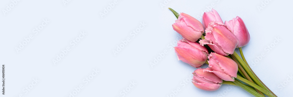 Banner with bouquet of tulip flowers on a pink background. Place for text. Banner with bouquet of tulip flowers on a pink background. Place for text.