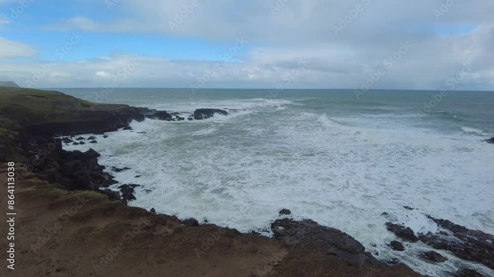 Curio Bay, New Zealand, features its ancient petrified forest and rugged coastal cliffs. Curio Bay, New Zealand, features its ancient petrified forest and rugged coastal cliffs.
