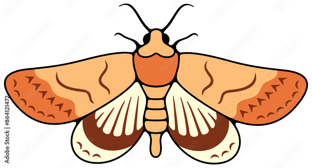 Motley nocturnal moth, butterfly and moth. Flying insects, nature, entomology and entomological, illustration Motley nocturnal moth, butterfly and moth. Flying insects, nature, entomology and entomological, illustration