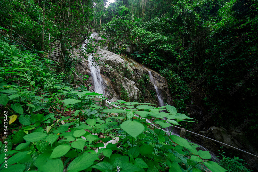 Scenic view of waterfall in forest