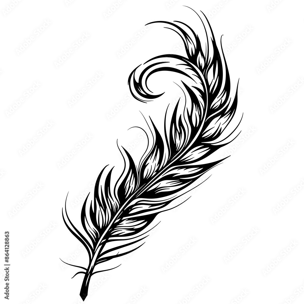 A feather is drawn in black and white A feather is drawn in black and white