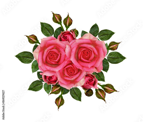 Pink rose flowers in a flor...