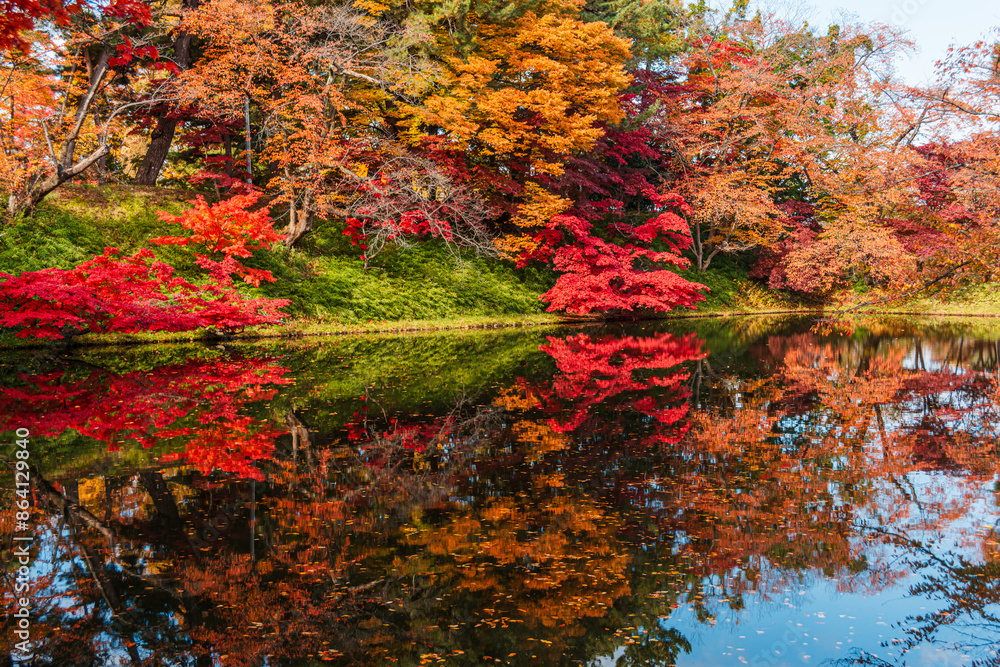 Colorful autumn foliage and leaves reflected in the clear waters of the moat of Hirosaki, Honshu, Japan, Asia Colorful autumn foliage and leaves reflected in the clear waters of the moat of Hirosaki, Honshu, Japan, Asia