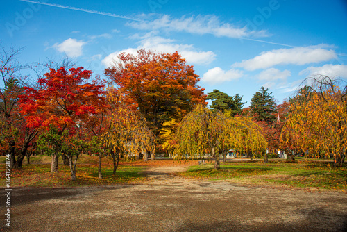 Vibrant orange and colorful autumn trees in the park of Hirosaki Castle, Hirsaki, Honshu, Japan, Asia photo