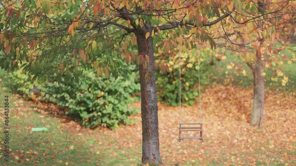 A rustic swing hangs from the sturdy branch of a tree, surrounded by the vibrant colors of an autumn landscape. A rustic swing hangs from the sturdy branch of a tree, surrounded by the vibrant colors of an autumn landscape.