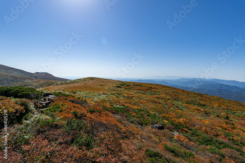 全山紅葉の栗駒山