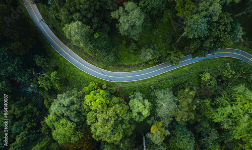 Aerial view  road and green forest,green environment