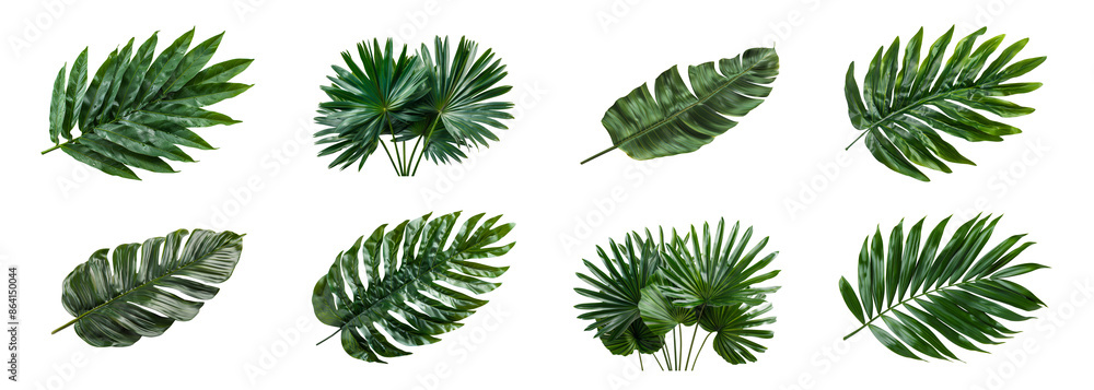 Collection of green tropical leaves Collection of green tropical leaves