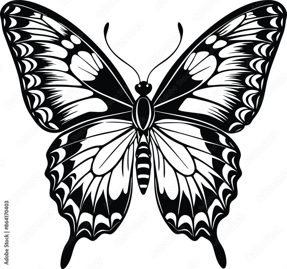 butterfly vector butterfly vector