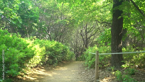 There is a hiking trail in the middle of Korea's mountain parks and dense forest of trees, and sunlight enters through the leaves and shines warmly. It feels like healing