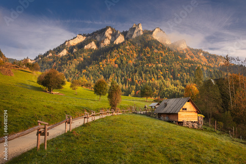 Fototapeta Naklejka Na Ścianę i Meble -  Autumn in Pieniny during the golden hour: the sun's warm light casts a golden glow over the vibrant foliage. The trees display a mix of red, orange, and yellow leaves, contrasting with the deep green 