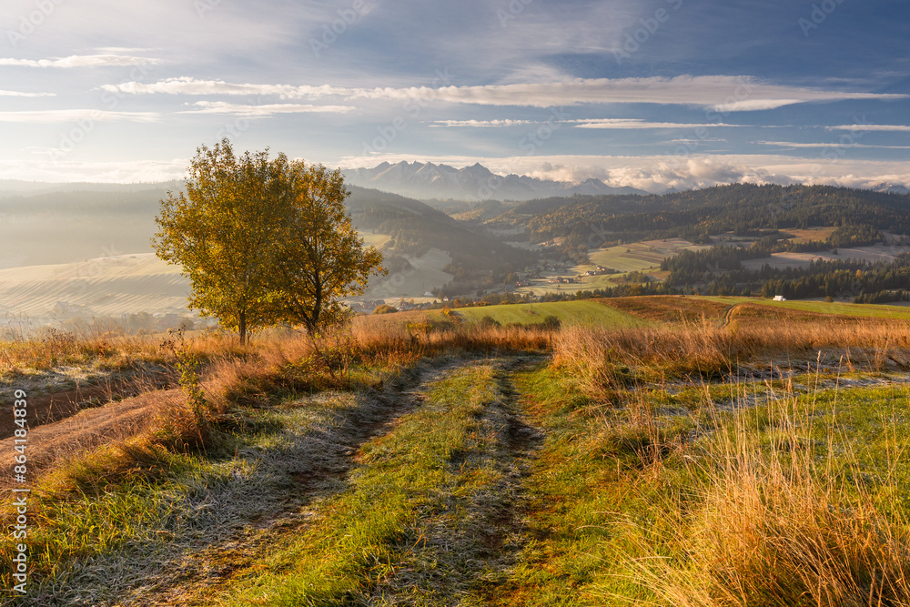 A beautiful autumn landscape of the Tatra Mountains seen from Polish Podhale during the golden hour. The sky is painted in warm hues, with the mountains bathed in golden light.