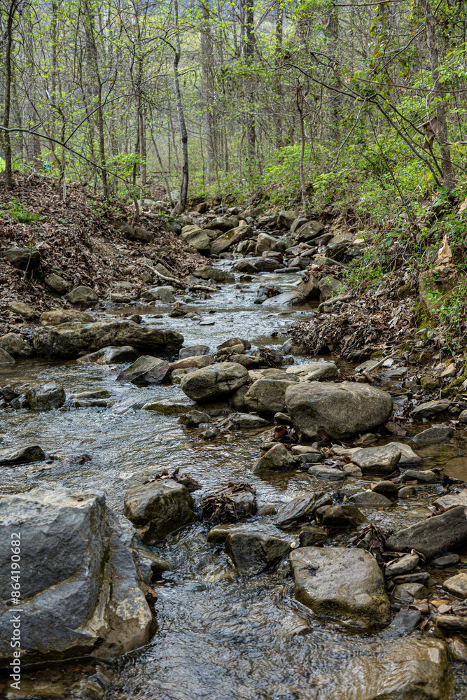 Mountain stream or creek cascading rocks in peaceful forest scene on Racoon Mountain, Tennessee Mountain stream or creek cascading rocks in peaceful forest scene on Racoon Mountain, Tennessee