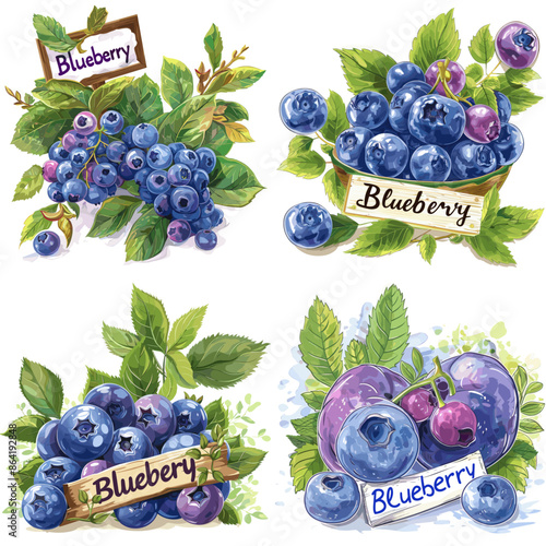 Vibrant watercolor illustrations of fresh blueberries on branches and in baskets, ideal for food blogs, packaging, or organic product branding
