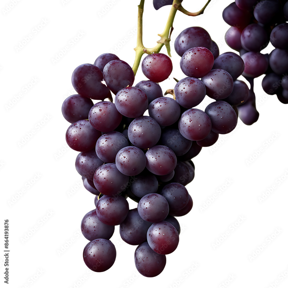 Fototapeta premium A bunch of red grapes isolated against a white background, showcasing their plump, juicy appearance by copyspace.