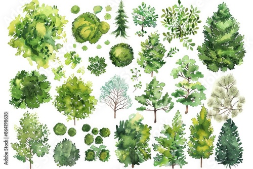 In this watercolor illustration, various green trees, bushes, and shrubs are depicted from a top view, perfect for landscape design plans. The image is isolated on a white background