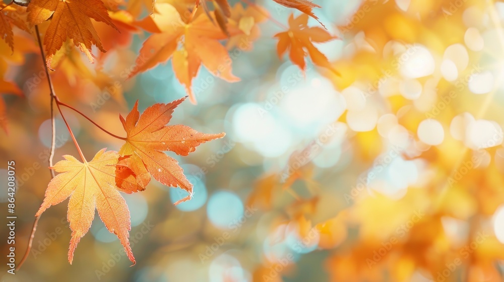 orange tree leaf in autumn with blur background orange tree leaf in autumn with blur background