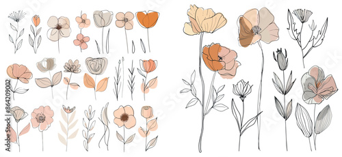 Modern botanical watercolor minimal illustration set of flowers