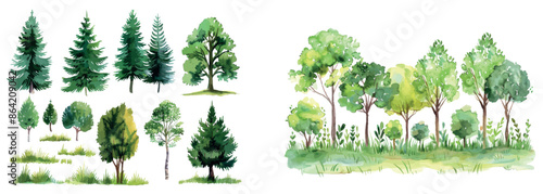 Decorative watercolor set of trees, grass, rocks, and fir-trees set in a landscape. Pine, spruce, aspen, and hills.