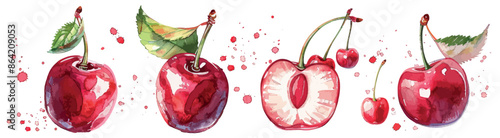 Hand drawn watercolor cherry on white background