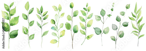 Wallpaper Mural An illustration depicting a set of watercolour leaves, branches, twigs, etc. Modern traced greenery illustration. Torontodigital.ca