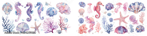 Sea animals set with blue watercolor ocean fish and coral on a shell aquarium background. Illustrations of jellyfish and starfish.