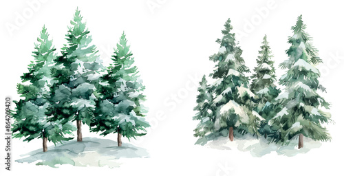 Snow-covered spruces isolated on white background. Watercolor winter illustration. Winter landscape. Winter forest.
