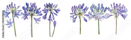 A watercolor illustration of flowers. It is composed manually. The design is intended to be used for a cover, fabric, textile, or wrapping paper.