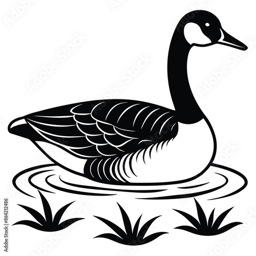 black and white goose. Canada Goose floating on water. Ai generate 